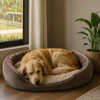 Perro durmiendo en cama cómoda dentro del hogar, zona de descanso tranquila y segura para perros, bienestar canino y sueño saludable.