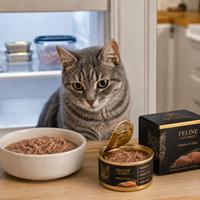 Comida húmeda gourmet para gatos junto a gato gris en cocina, alimento premium rico en proteínas para nutrición felina saludable.