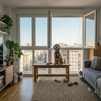 "Perro sentado sobre una mesa frente a una ventana abierta con red de seguridad protectora instalada para evitar caídas de mascotas en pisos altos."