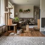 Sala de estar moderna con árbol rascador grande de madera, gato atigrado jugando en un cubo rascador y estación de alimentación con cuencos de "agua de Luna" y "comida de Luna"