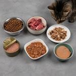 Tipos de alimentos para gatos