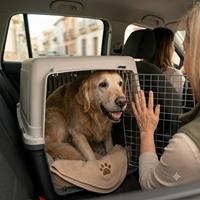 Perro rescatado viajando nervioso en transportín dentro de un coche durante su traslado desde la protectora al nuevo hogar, recibiendo consuelo y tranquilidad.