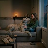 Mujer sentada en un sofá gris conectando afectuosamente con su perro adoptado, creando un vínculo emocional profundo en un hogar acogedor.