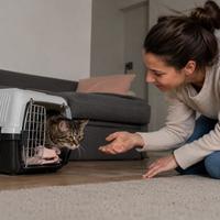 Gato adoptado saliendo del transportín en su nuevo hogar mientras su cuidadora respeta su espacio. Proceso de adaptación felina, generación de confianza y primeros días tras la adopción de un gato.