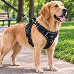 Arnés antitirones para perro con diseño ajustable, acolchado y reflectante, ideal para paseos seguros, entrenamiento y mayor comodidad en perros pequeños, medianos y grandes.