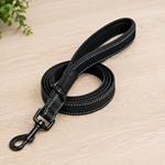 Correa para perro de nylon resistente con costuras reflectantes y asa acolchada, ideal para paseos seguros, entrenamiento y control de perros pequeños, medianos y grandes.