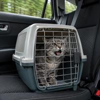 Gato adoptado maullando dentro de un transportín durante un viaje en coche, mostrando señales normales de estrés, miedo y adaptación al nuevo hogar tras la adopción.