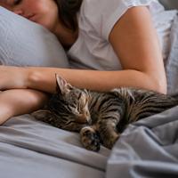 Gato durmiendo junto a su dueño como muestra de confianza, seguridad y vínculo afectivo, un comportamiento felino que demuestra que se siente completamente protegido.