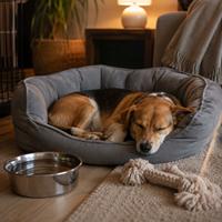 Perro recién adoptado descansando en su cama junto a un cuenco de agua durante las primeras horas en casa, una fase clave para reducir el estrés y facilitar su adaptación al nuevo hogar.