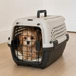 Transportín para perro pequeño con puerta metálica y ventilación, ideal para viajar en coche, avión o al veterinario, ofreciendo máxima seguridad, comodidad y confort durante el transporte.