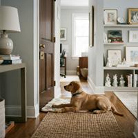 Un adorable cachorro Golden Retriever con collar azul tumbado pacientemente en una alfombra de yute en un pasillo de casa elegante, mirando hacia una puerta de madera cerrada con un letrero decorativo. Fondo con estanterías de arte y muebles de diseño