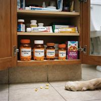 Pastillas de ibuprofeno, paracetamol y vitaminas guardadas en un botiquín de baño junto a cápsulas caídas en el suelo cerca de la pata de un perro