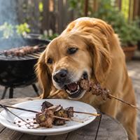 Perro comiendo una brocheta de carne en una barbacoa