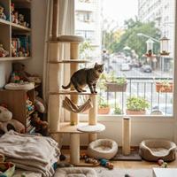 Gato atigrado estimulado en rascador dentro de un piso seguro con ventana protegida por malla para evitar accidentes exteriores.