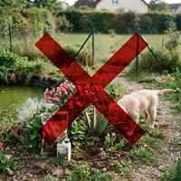 Cachorro de Golden Retriever investigando peligros en un jardín, incluyendo plantas venenosas (oleander y aloe), fertilizante químico con etiqueta de peligro y un estanque sin vallar