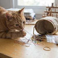 Gato atigrado naranja mordisqueando peligrosamente una maraña de hilos de coser de colores y alfileres en una mesa,