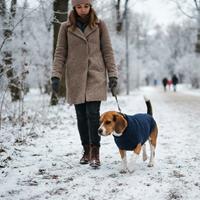 Perro de pelo corto con suéter abrigado caminando junto a su dueña por un sendero cubierto de nieve en invierno.